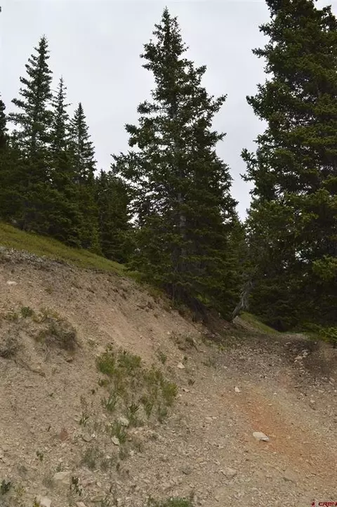 tbd Cr 35, Silverton, CO 81433 photo 10