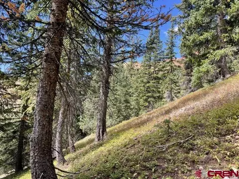 tbd Cr 35, Silverton, CO 81433 photo 5