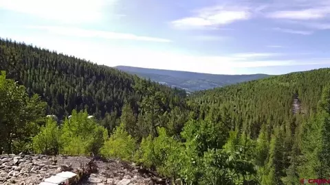 1675 Chicago Park Rd, Pitkin, CO 81241 photo 3