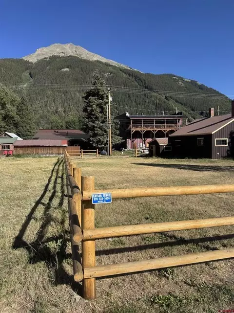 1000 Block Greene St, Silverton, CO 81433