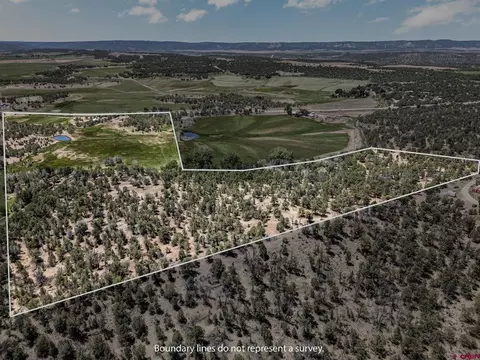 Other - 2943 Highway 151, Ignacio, CO 81137 photo 10 of 18
