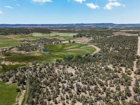View/Area - 2943 Highway 151, Ignacio, CO 81137 photo 2 of 7
