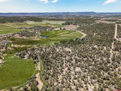 View/Area - 2943 Highway 151, Ignacio, CO 81137 photo 7 of 7