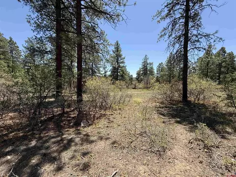 tbd Ventana Pass, Durango, CO 81301 photo 3