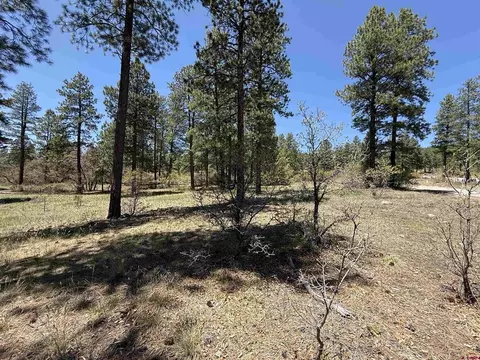 tbd Ventana Pass, Durango, CO 81301 photo 5