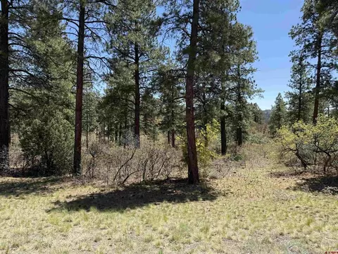 tbd Ventana Pass, Durango, CO 81301 photo 4