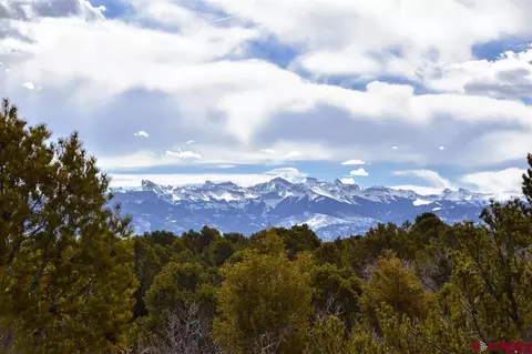 9266 Government Springs Rd, Montrose, CO 81403