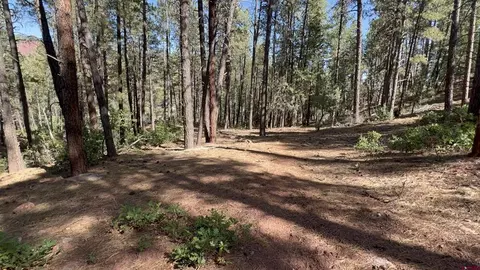 Other - 6777 Cr 203, Durango, CO 81301 photo 12 of 14