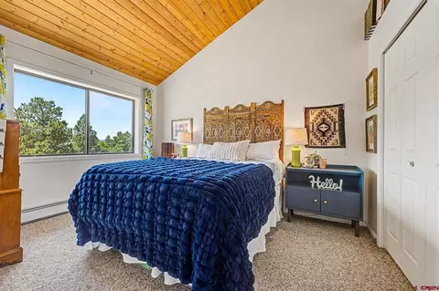 268 Timberline Dr, Durango, CO 81301 photo 25