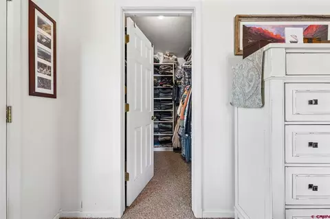 268 Timberline Dr, Durango, CO 81301 photo 22