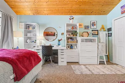 268 Timberline Dr, Durango, CO 81301 photo 27