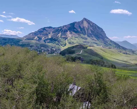 69 Peeler Ln, Crested Butte, CO 81224 photo 3