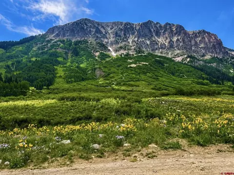 tbd Gothic, Crested Butte, CO 81224