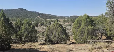 tbd Cr 310, Ignacio, CO 81137 photo 25