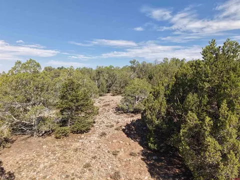 tbd Cr 310, Ignacio, CO 81137 photo 17