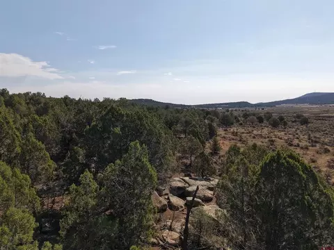tbd Cr 310, Ignacio, CO 81137 photo 14