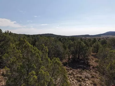 tbd Cr 310, Ignacio, CO 81137 photo 18