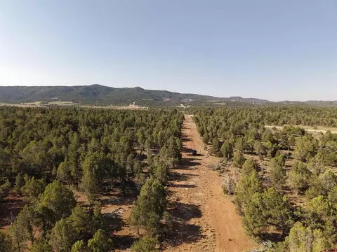 tbd Cr 310, Ignacio, CO 81137 photo 3
