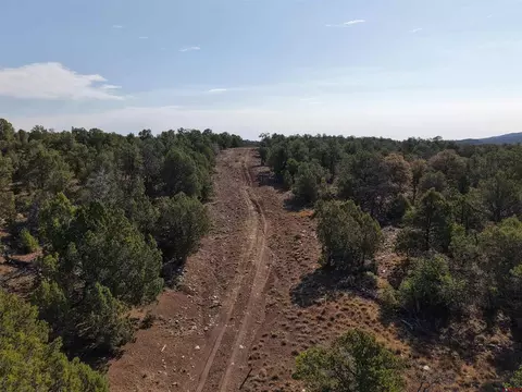 tbd Cr 310, Ignacio, CO 81137 photo 10