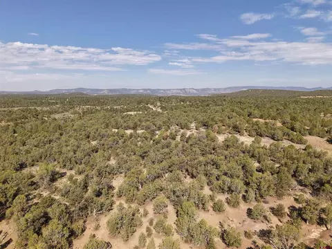 tbd Cr 310, Ignacio, CO 81137 photo 9