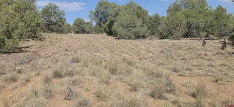 tbd Cr 310, Ignacio, CO 81137 photo 23