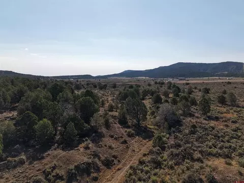 tbd Cr 310, Ignacio, CO 81137 photo 13