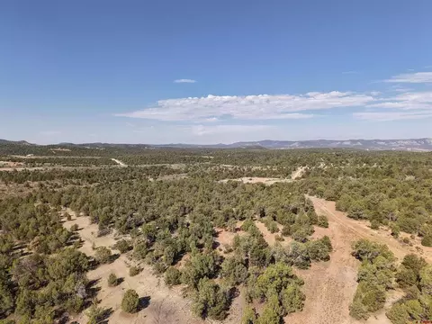 tbd Cr 310, Ignacio, CO 81137 photo 7