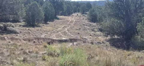 tbd Cr 310, Ignacio, CO 81137 photo 21