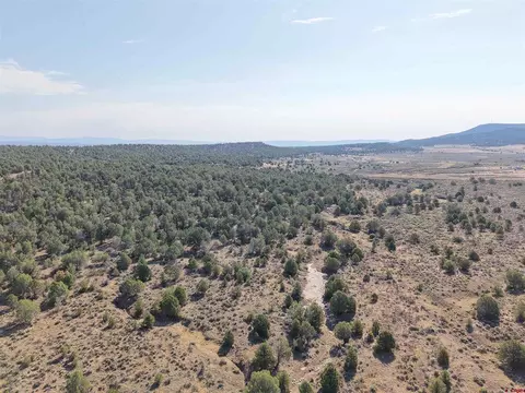 tbd Cr 310, Ignacio, CO 81137 photo 8