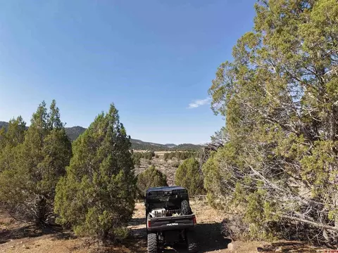 tbd Cr 310, Ignacio, CO 81137 photo 19