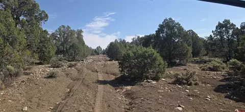 tbd Cr 310, Ignacio, CO 81137 photo 20