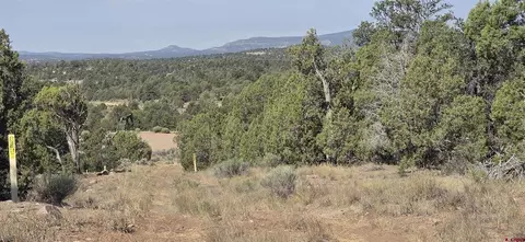 tbd Cr 310, Ignacio, CO 81137 photo 22