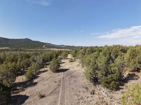 tbd Cr 310, Ignacio, CO 81137 photo 11