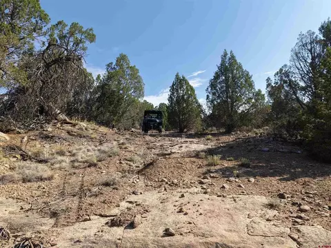 tbd Cr 310, Ignacio, CO 81137 photo 4