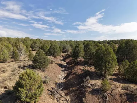 tbd Cr 310, Ignacio, CO 81137 photo 16