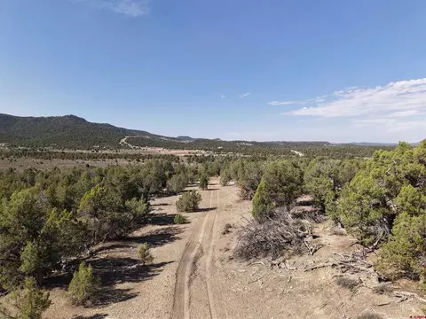 tbd Cr 310, Ignacio, CO 81137 photo 12