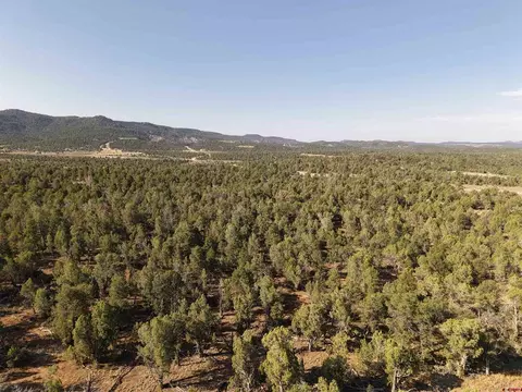 tbd Cr 310, Ignacio, CO 81137 photo 5