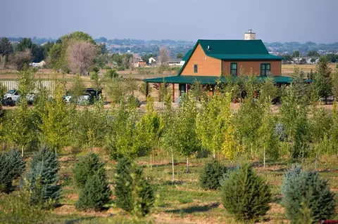 9001 2100 Rd, Austin, CO 81410