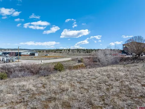 312 Davidson Creek Rd, Durango, CO 81301 photo 12
