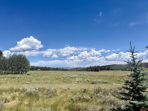 2221 Spruce Rd, Cimarron, CO 81220 photo 11