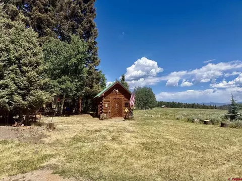 2221 Spruce Rd, Cimarron, CO 81220 photo 9