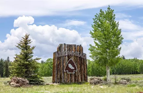 2221 Spruce Rd, Cimarron, CO 81220 photo 14