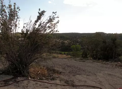 28149 Bb Rd, Nucla, CO 81424 photo 8