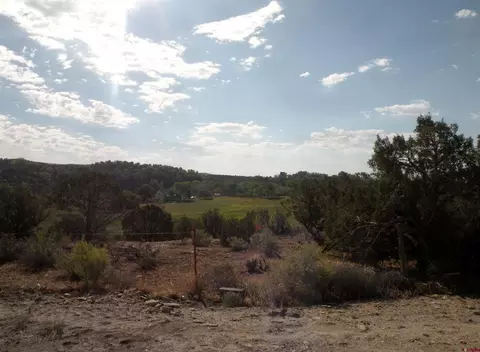 28149 Bb Rd, Nucla, CO 81424 photo 7