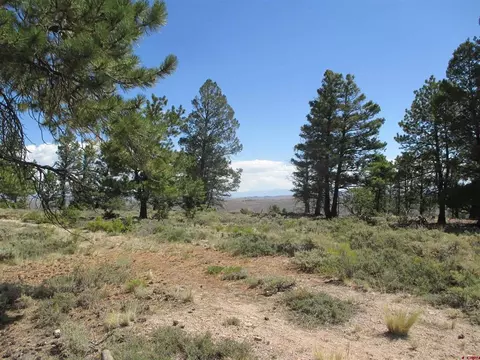 809 Schofield Trl, Powderhorn, CO 81243