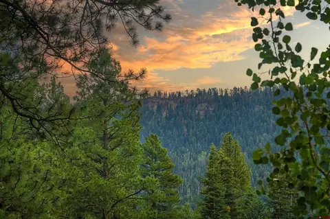 View/Area - 41 Perro Pl, Durango, CO 81301 photo 3 of 3