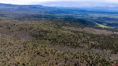 Parcel 3 W Elk View Drive, Cedaredge, CO 81413 photo 6
