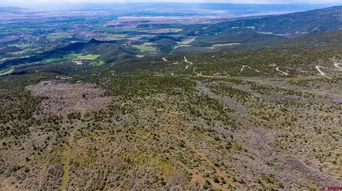 Parcel 3 W Elk View Drive, Cedaredge, CO 81413 photo 8