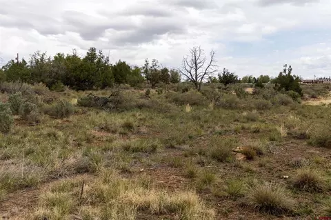 tbd S Broadway Hwy, Cortez, CO 81321 photo 3