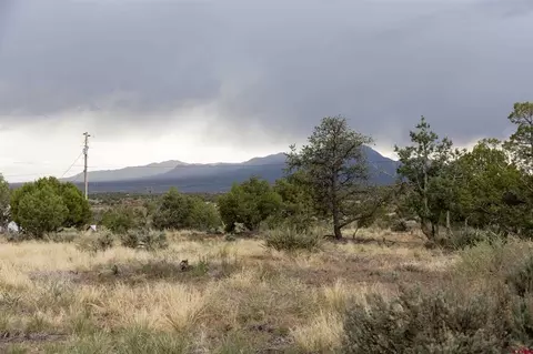 tbd S Broadway Hwy, Cortez, CO 81321 photo 8
